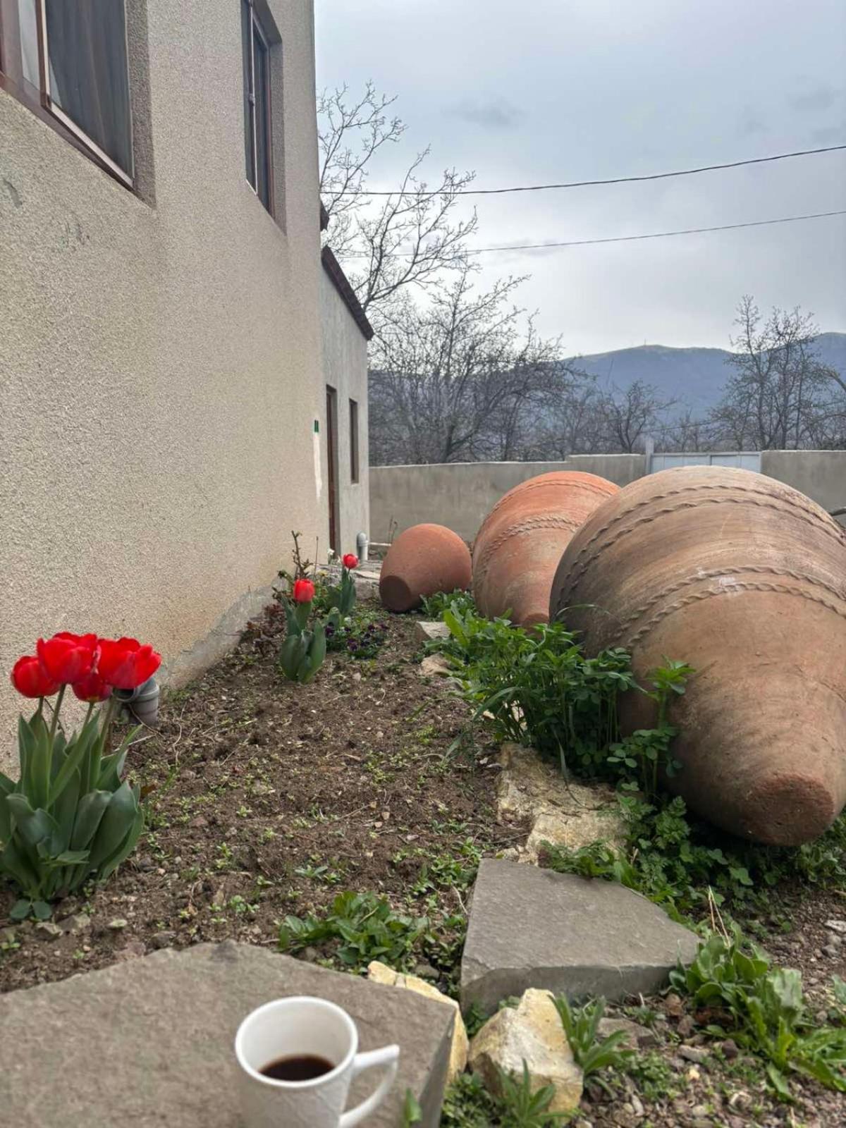 Saro B&B And Safari Tours Tatev Dış mekan fotoğraf